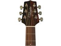 Takamine GD20CE-N Takamine GD20CE-N